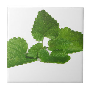 Mint Leaf Tile