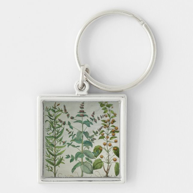 Mint: Mentha crispa Key Ring (Front)