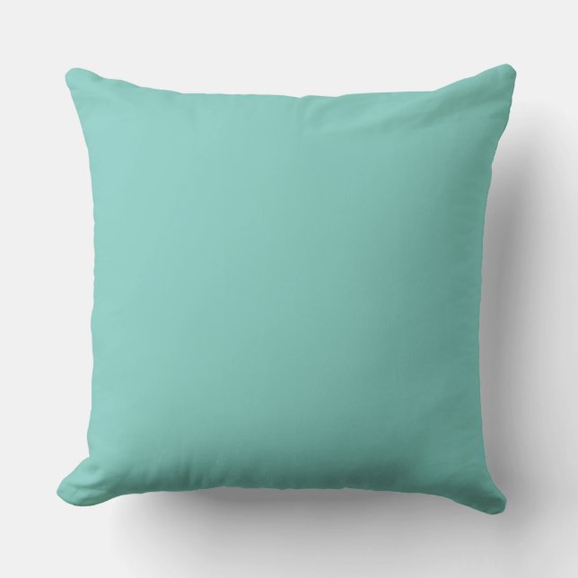 Mint Mint Green Solid Colour Cushion (Front)
