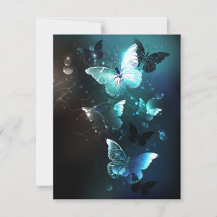Mint Night Butterflies Announcement