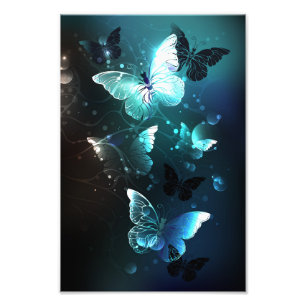 Mint Night Butterflies Photo Print