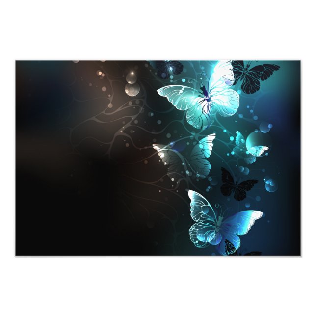 Mint Night Butterflies Photo Print (Front)