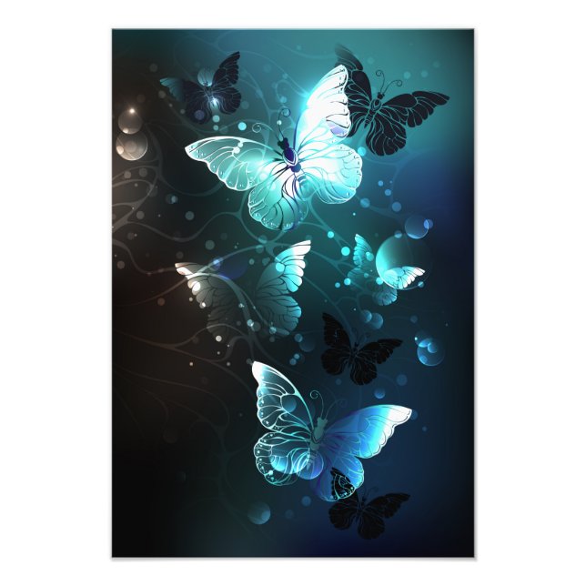 Mint Night Butterflies Photo Print (Front)
