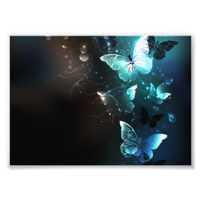 Mint Night Butterflies Photo Print (Front)