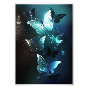 Mint Night Butterflies Photo Print