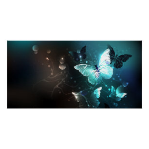 Mint Night Butterflies Poster
