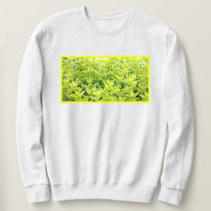 "Mint Plants" Cute Photo. Buy Now Sweatshirt