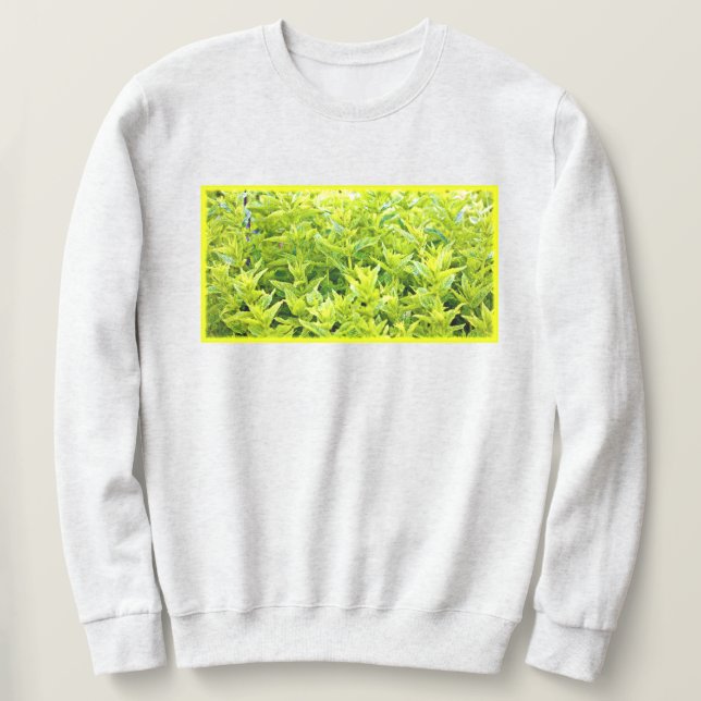 "Mint Plants" Cute Photo. Buy Now Sweatshirt (Design Front)