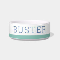 Mint Stripe & Navy Blue Simple Pet Name