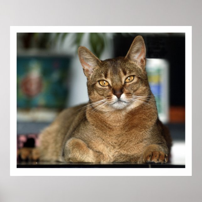 Minu - Minu  Poster (Front)