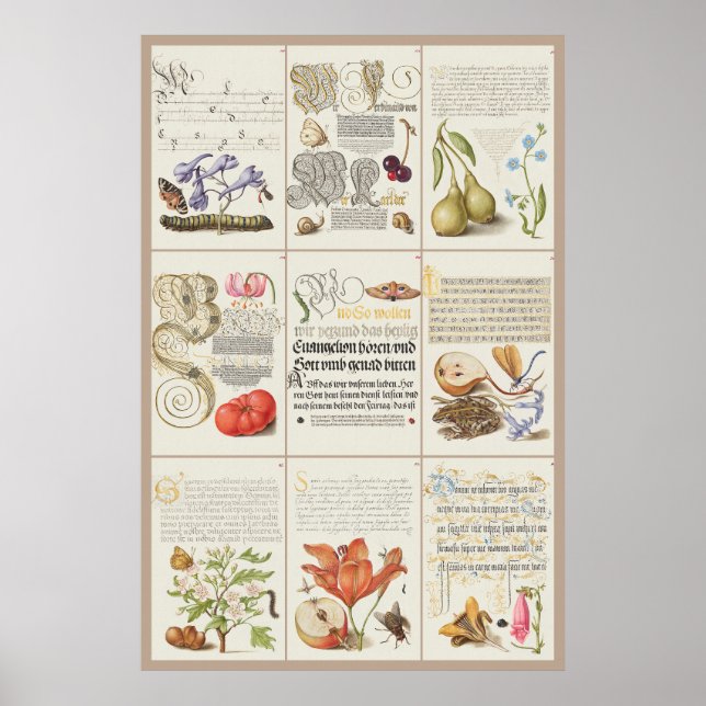 Mira Calligraphiae Monumenta 005 Poster (Front)