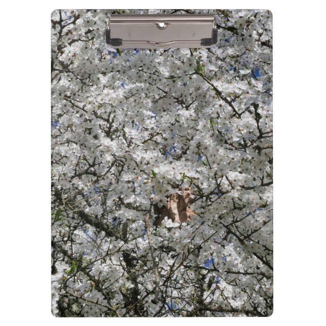 Mirabelle Blossom Clipboard (Front)
