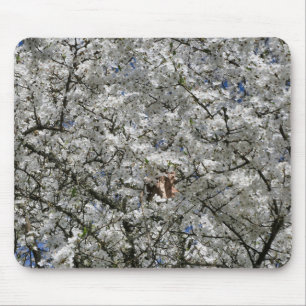 Mirabelle Blossom Mouse Mat
