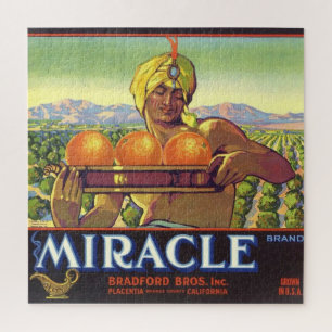 Miracle Genie Illustrated 20x20  Jigsaw Puzzle
