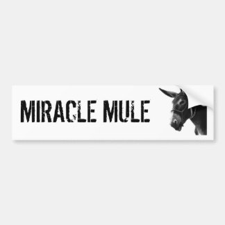 MIRACLE MULE Bumper Sticker