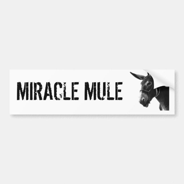 MIRACLE MULE Bumper Sticker (Front)