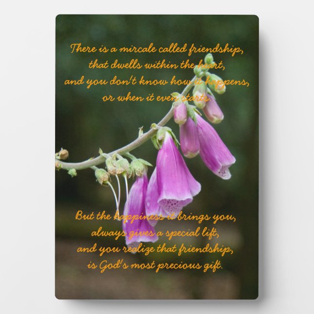 Miracle of Friendship Plaque (Front)