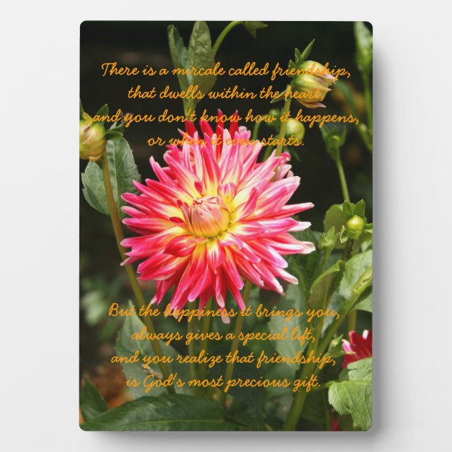 Miracle of Friendship Plaque (Front)