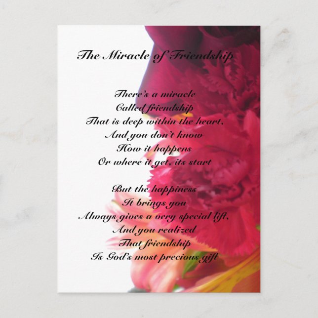 Miracle of Friendship postcard (Front)