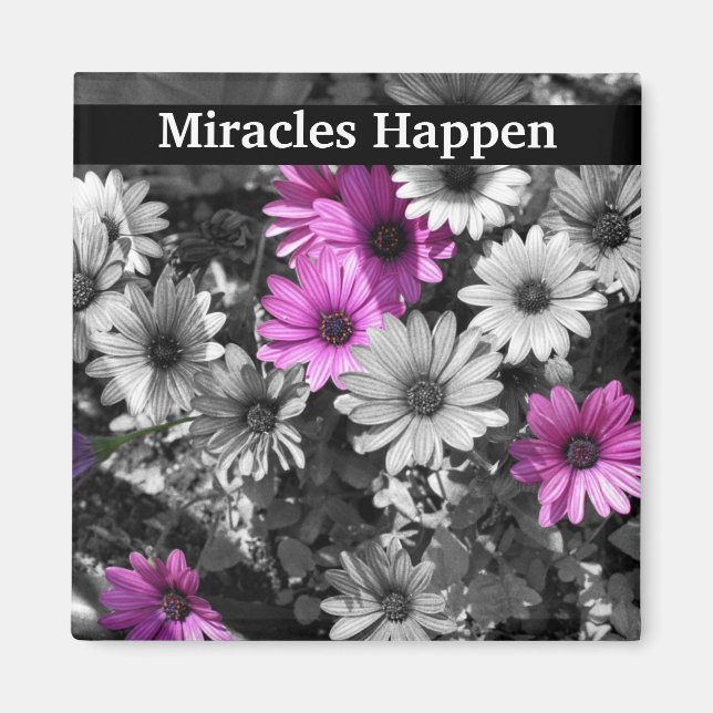 Miracles Happen Daisies Inspirational Magnet (Front)