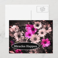Miracles Happen Daisies Inspirational Postcard