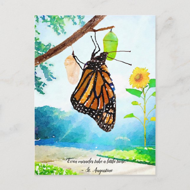 Miracles Monarch Butterfly Postcard (Front)