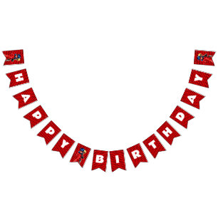 Miraculous Ladybug & Cat Noir Birthday Bunting