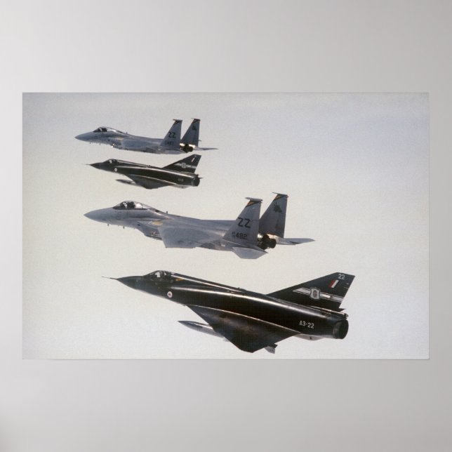 Mirage III's and F-18 Hornets Poster (Front)
