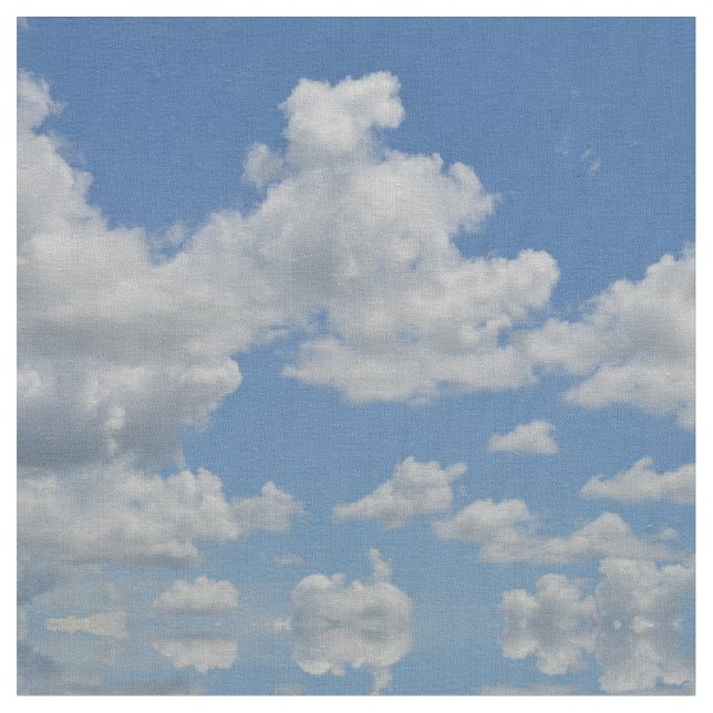Mirriored Clouds Fabric (Close Up)