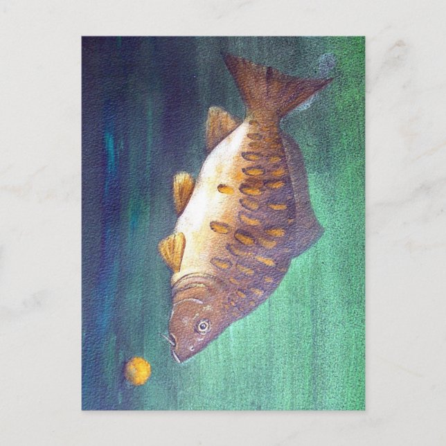 Mirror carp postcard (Front)