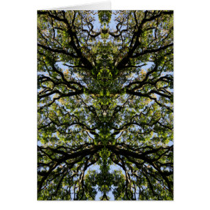 Mirror image trees