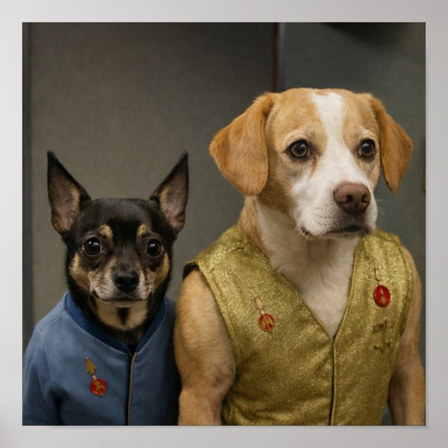 "Mirror, Mirror" Poster (Front)