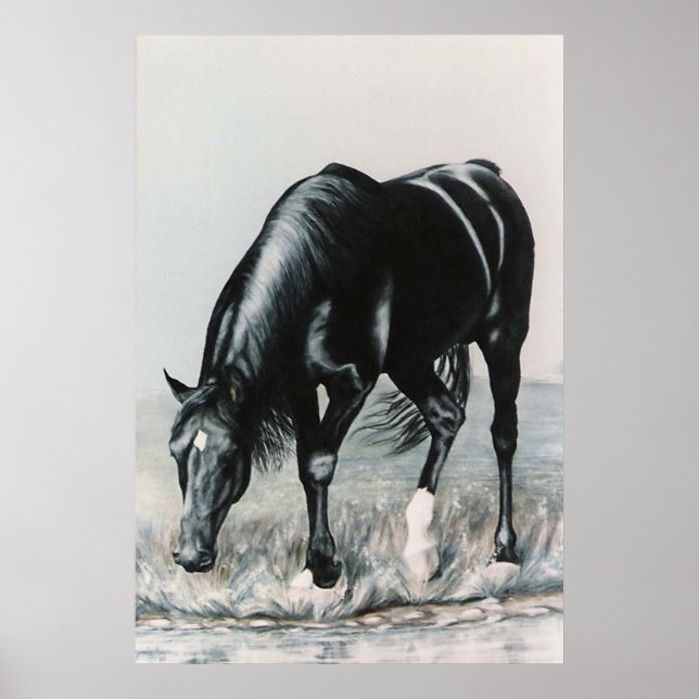 Mirror, Mirror.....print Poster (Front)