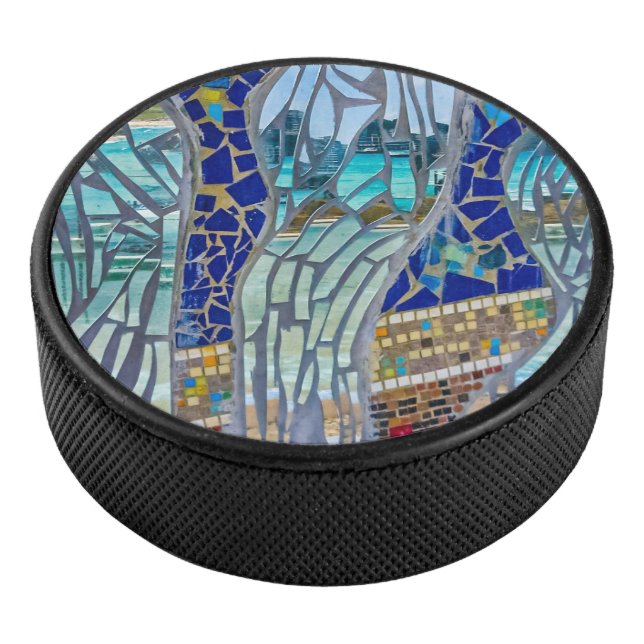Mirror, mirror, tell me... hockey puck (3/4)