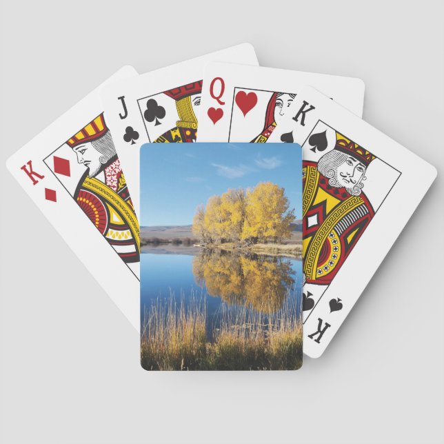 Mirror Pond Playing Cards (Back)