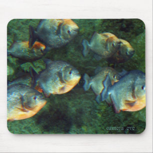 Mirrored Piranha Mouse Pad