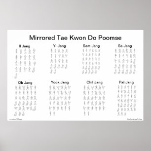 Mirrored Tae Kwon Do Poomse Poster