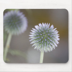 Mirrored Thistles Mousepad
