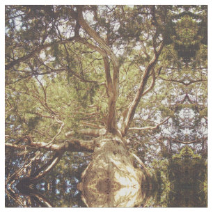 Mirrored Tree Fabric