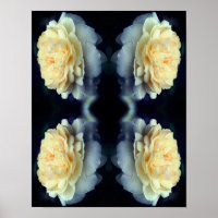 Mirrored Yellow Rose In Bloom Abstract