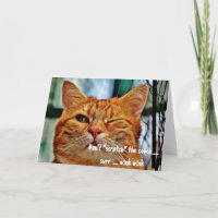 Misbehaving Cat Funny Humour Winking Greeting