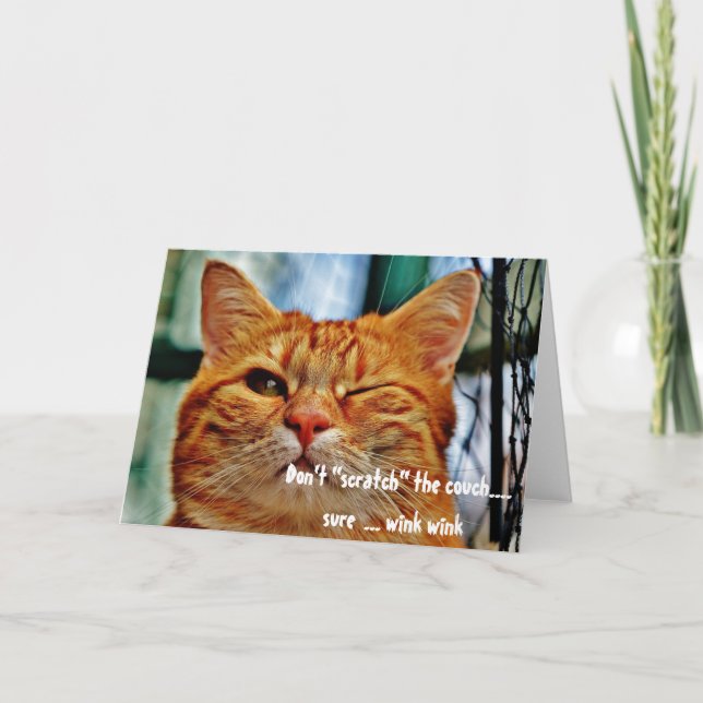 Misbehaving Cat Funny Humour Winking Greeting Card (Front)