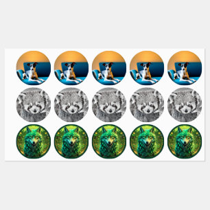 Miscellaneous Animal Stickers