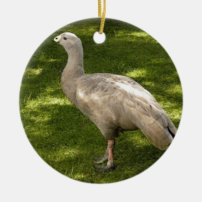 Miscellaneous - Cape Barren Goose  Shadows & Light Ceramic Tree Decoration (Front)