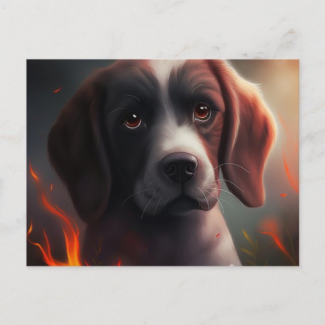 Miscellaneous Dog Postcard (Front)