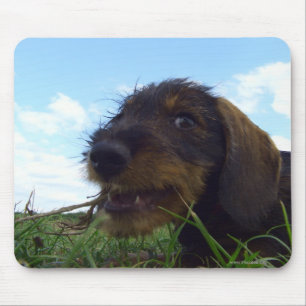 Mischevious Mouse Pad