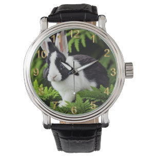 Mischief The Black And White Bunny, Watch