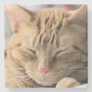 Mischievious dreaming stone coaster