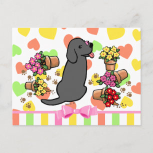 Mischievous Black Labrador Postcard