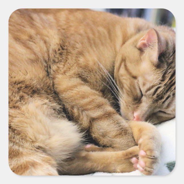 Mischievous interrupted    square sticker (Front)